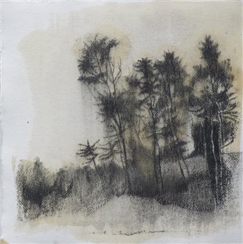 unnamed (9)